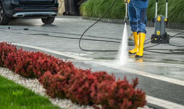 Best Driveway Cleaning and Restoration in USA